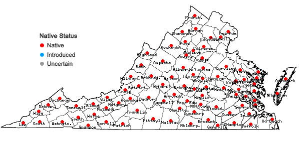 Locations ofCorallorhiza odontorhiza (Willd.) Nuttall in Virginia