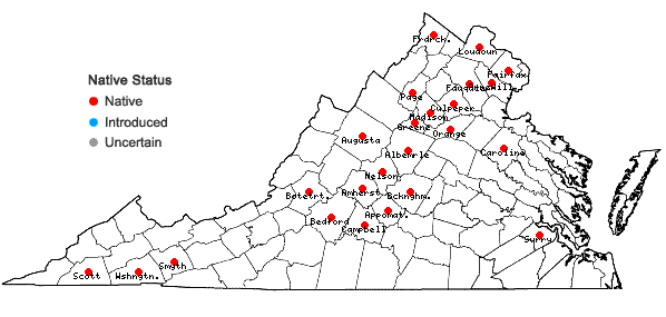 Locations ofCorallorhiza wisteriana Conrad in Virginia