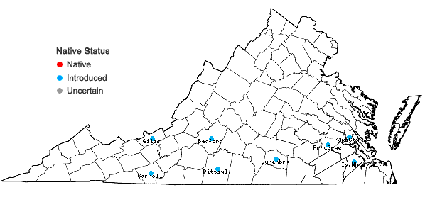 Locations ofCoreopsis grandiflora Hogg ex Sweet var. harveyana (Gray) Sherff in Virginia