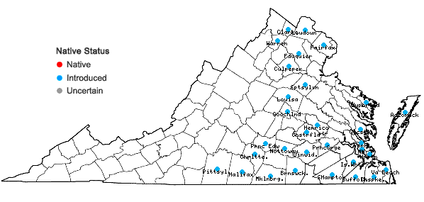 Locations ofCoreopsis tinctoria Nutt. var. tinctoria in Virginia