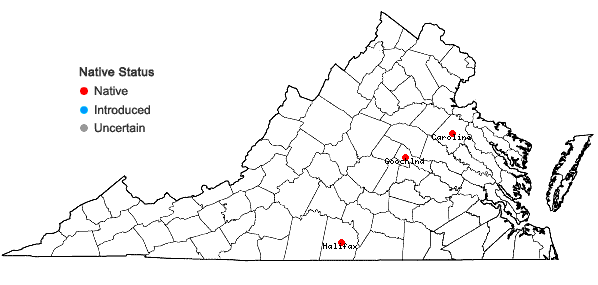 Locations ofCoreopsis ×delphiniifolia Lam. in Virginia