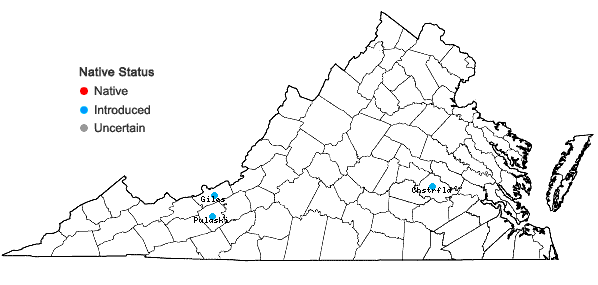 Locations ofCoriandrum sativum L. in Virginia