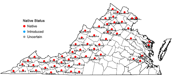 Locations ofCornus alternifolia L.f. in Virginia