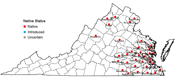 Locations ofCornus stricta Lam. in Virginia