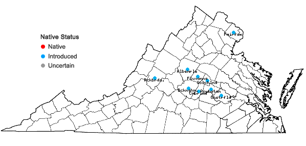 Locations ofCorydalis incisa (Thunb.) Pers. in Virginia