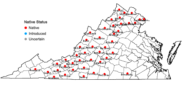 Locations ofCorylus cornuta Marsh. var. cornuta in Virginia