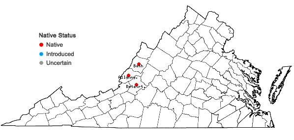 Locations ofCoscinodon cribrosus (Hedw.) Spruce in Virginia
