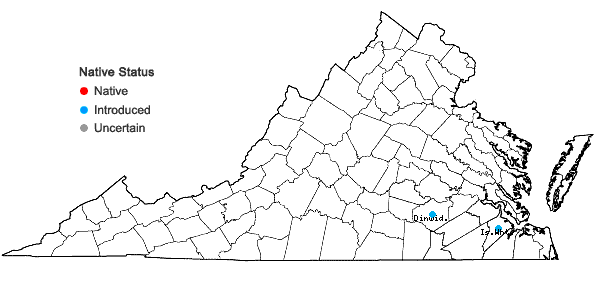 Locations ofCosmos sulphureus Cav. in Virginia