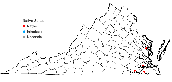 Locations ofCrataegus aprica Beadle in Virginia