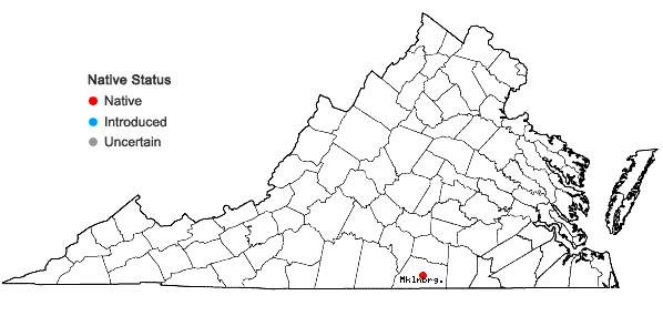 Locations ofCrataegus beata Sargent in Virginia