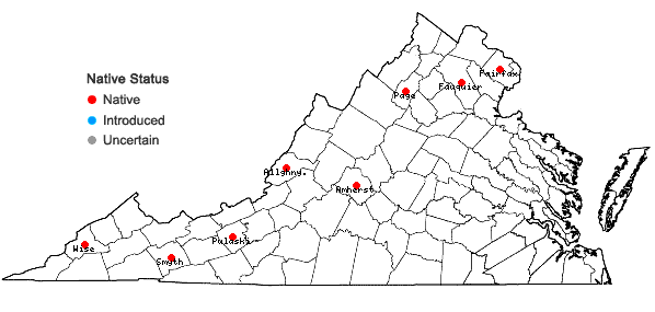 Locations ofCrataegus calpodendron (Ehrh.) Medik. in Virginia
