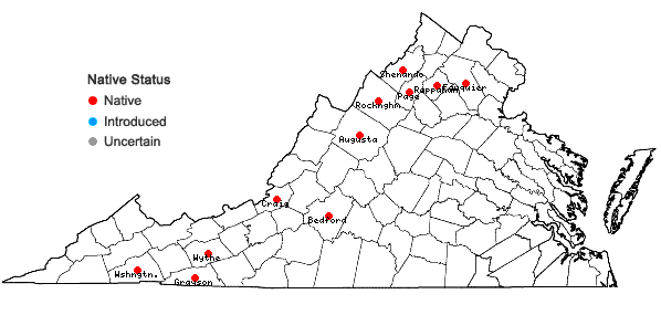 Locations ofCrataegus chrysocarpa Ashe var. dodgei (Ashe) Palmer in Virginia