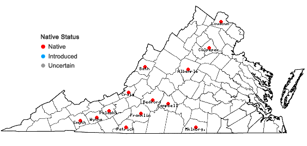 Locations ofCrataegus collina Chapman in Virginia