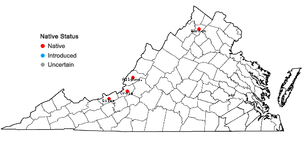 Locations ofCrataegus compacta Sargent in Virginia