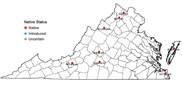 Locations ofCrataegus crus-galli L. var. pyracanthifolia Aiton in Virginia