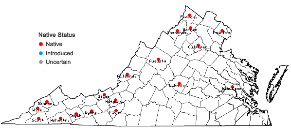 Locations ofCrataegus intricata Lange var. biltmoreana (Beadle) R.W. Lance in Virginia
