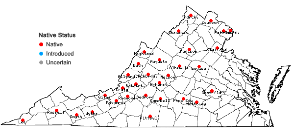 Locations ofCrataegus intricata Lange var. intricata in Virginia