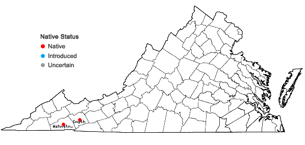 Locations ofCrataegus intricata Lange var. boyntonii (Beadle) Kruschke in Virginia