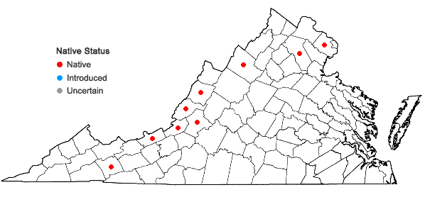 Locations ofCrataegus margarettae Ashe in Virginia