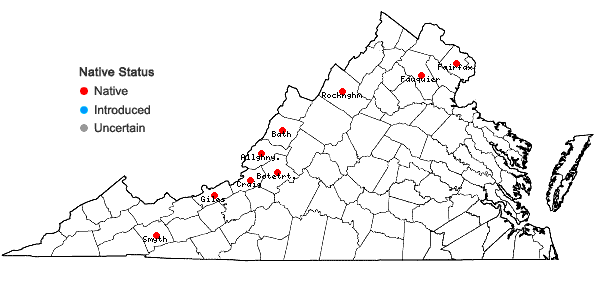 Locations ofCrataegus margarettae Ashe in Virginia