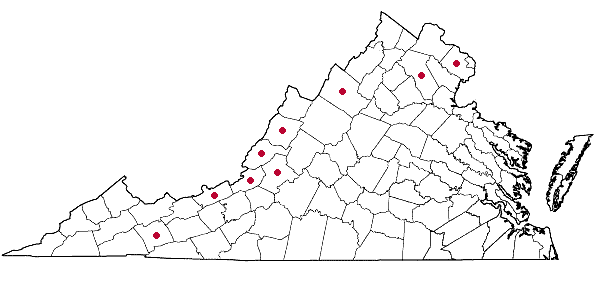 Locations ofCrataegus margarettiae Ashe in Virginia