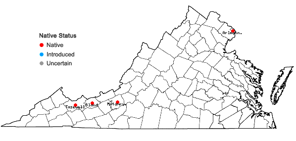 Locations ofCrataegus pennsylvanica Ashe in Virginia
