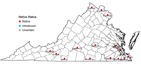 Locations ofCrataegus phaenopyrum (L. f.) Medik. in Virginia