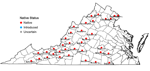 Locations ofCrataegus pruinosa (Wendl. f.) K. Koch var. pruinosa in Virginia