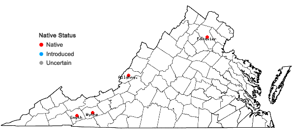 Locations ofCrataegus pruinosa (Wendl. f.) K. Koch var. dissona (Sarg.) Eggelstone in Virginia