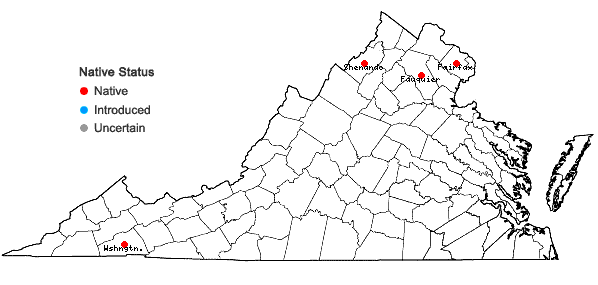 Locations ofCrataegus pruinosa (Wendl. f.) K. Koch var. rugosa (Ashe) Kruschke in Virginia