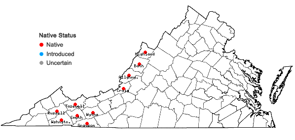 Locations ofCrataegus punctata Jacq. in Virginia