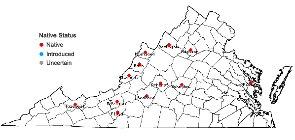 Locations ofCrataegus schuettei Ashe in Virginia