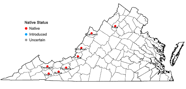 Locations ofCrataegus succulenta Schrad. ex Link var. succulenta in Virginia