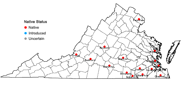 Locations ofCrataegus viridis L. var. viridis in Virginia