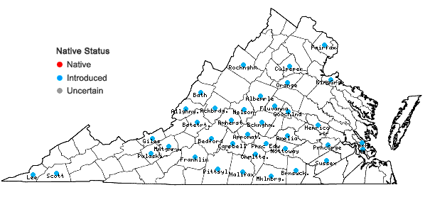 Locations ofCrepis pulchra L. in Virginia