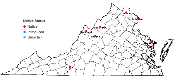 Locations ofCrocanthemum bicknellii (Fernald) Barnhart in Virginia