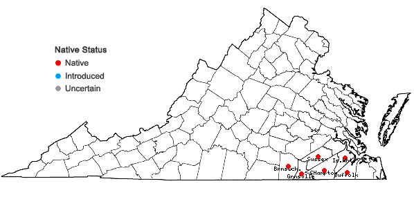 Locations ofCroptilon divaricatum (Nutt.) Raf. in Virginia