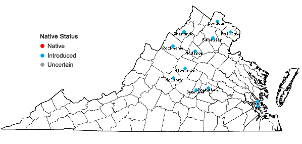 Locations ofCroton capitatus Michx. in Virginia