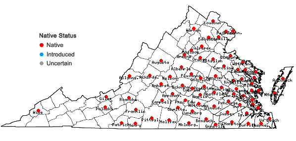 Locations ofCroton glandulosus L. var. septentrionalis Muell.-Arg. in Virginia