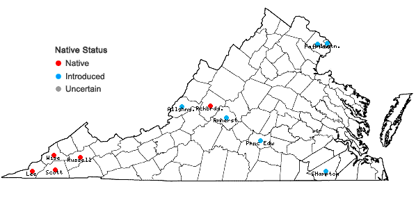 Locations ofCroton monanthogynus Michx. in Virginia