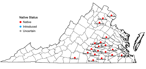Locations ofCroton willdenowii Webster in Virginia