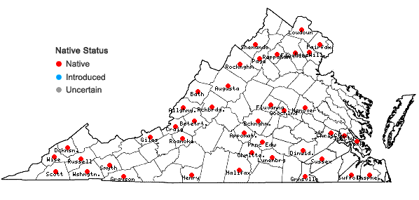 Locations ofCtenidium molluscum (Hedw.) Mitt. in Virginia