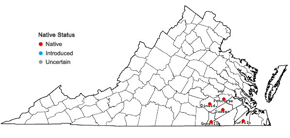 Locations ofCtenium aromaticum (Walt.) Wood in Virginia