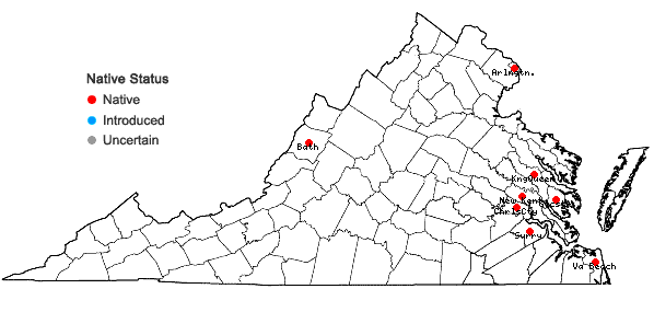 Locations ofCuscuta cephalanthi Engelm. in Virginia