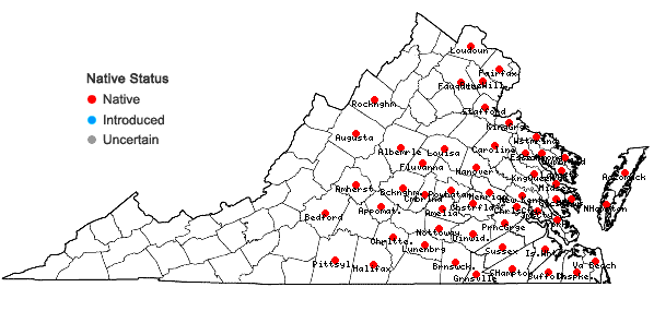 Locations ofCuscuta compacta Jussieu ex Choisy in Virginia