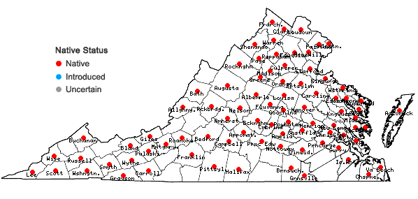 Locations ofCuscuta gronovii Willd. ex Roem. & Schult. in Virginia