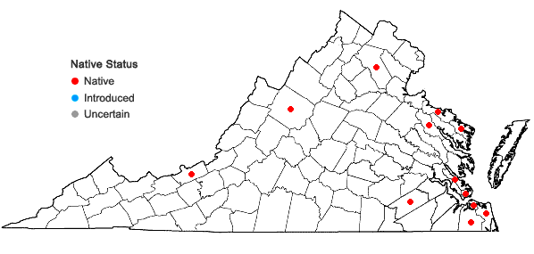 Locations ofCuscuta indecora Choisy var. indecora in Virginia