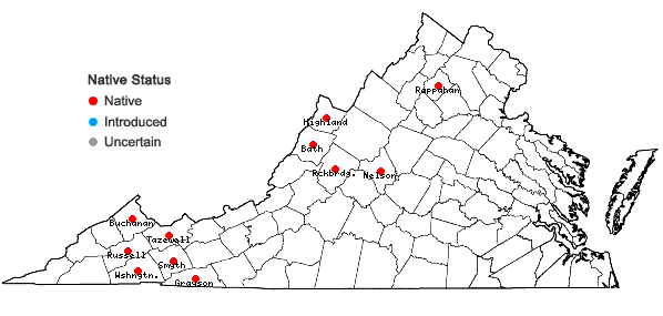 Locations ofCuscuta rostrata Shuttlw. ex Engelm. & Gray in Virginia