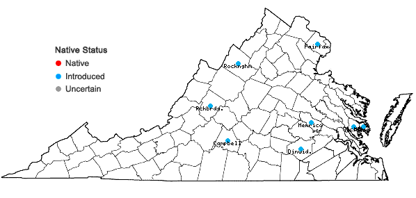 Locations ofCymbalaria muralis P.G. Gaertn., B. Mey. & Scherb. ssp. muralis in Virginia