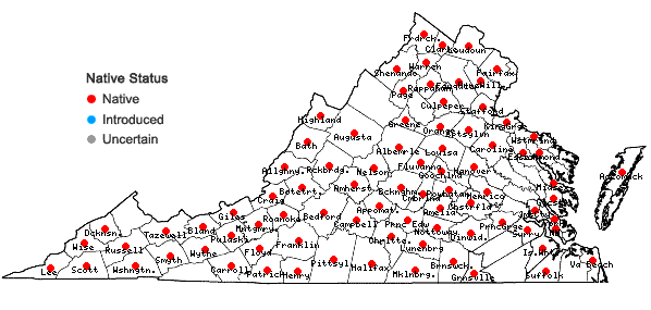 Locations ofCynoglossum virginianum L. var. virginianum in Virginia
